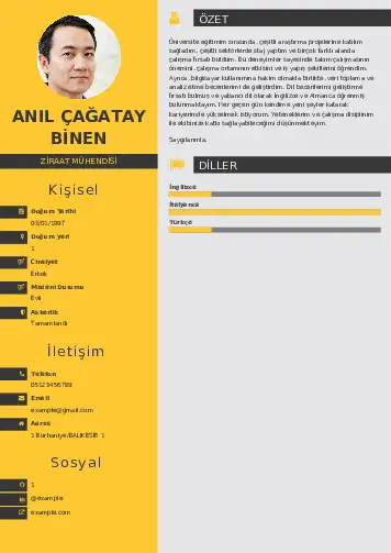 Ziraat Mühendisi Cv Örnekleri cv indir
